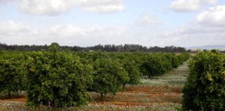 Il Paesaggio fa tappa in Sicilia