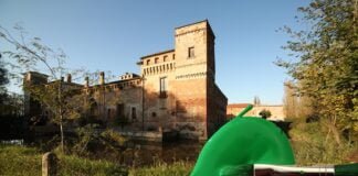 Uno spiraglio di luce, un battito d’ali