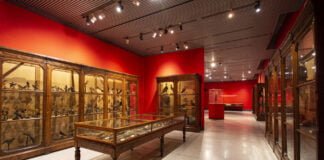 L’autunno al Museo di Storia Naturale