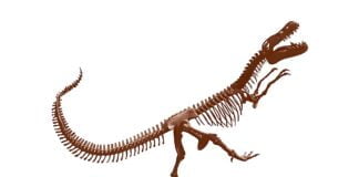 L’espressione artistica del ferro