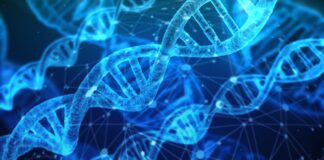 Scienza in paese con l’associazione Chirone
