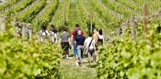 Festival del Cammino in Franciacorta