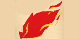 Il fuoco: storia di antropologia chimica