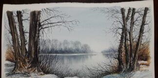 Armonie di luci e colori