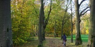 Foreste per la vita, foreste per il clima
