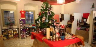Per Natale sostieni il diritto alla cura