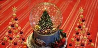 Natale con gli Amici della pedagogia Waldorf Emil Molt