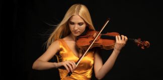 L’altra anima del violino