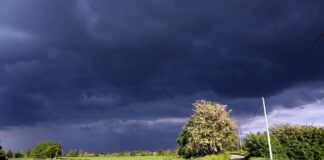 Morto un mafioso se ne fa un altro?