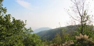 Guardiani del territorio, in Valpolicella