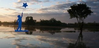 Camminiamo insieme alle Stelle sulla Terra