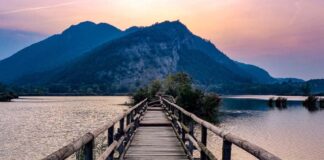 Primavera alle torbiere del Sebino