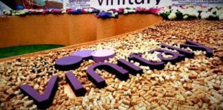 Vinitaly, la passione in un bicchiere