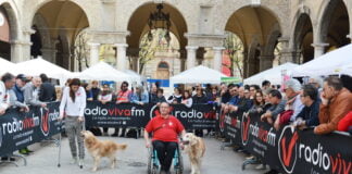 CorriDog, 18° Giornata Nazionale del Cane Guida