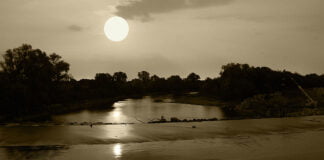 Due libri per una mamma