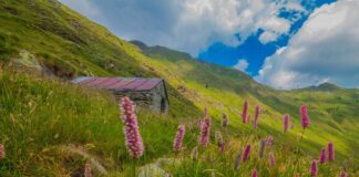 A spasso con le Erbe del Casaro