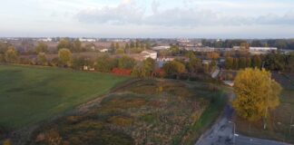 Un bosco per le api a Cremona