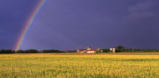Paesaggi Colturali, alla Scuola di Paesaggio E. Sereni