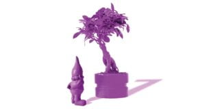 Il Festival Bonsai di Ferrara Off