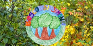 La segnaletica del bosco di Simone