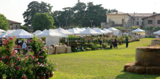 Franciacorta in Fiore: l’acqua che non c’è