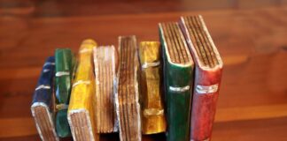 Festival del Libro a Bagnolo Mella