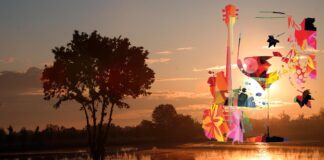 Dal Mississippi al Po, Festival del Blues e letteratura