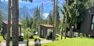 Vacanza bestiali Skyview Chalets - In vacanza col cane - Foto di Andreas Panzenberger (6)