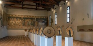 Alberi, alle origini del mondo