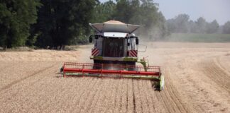 Addio ai pesticidi! La campagna di Slow Food