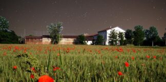 Spiedo sotto le Stelle con Agropolis