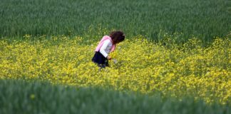 A piedini nudi nel parco