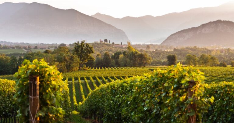 Franciacorta, appuntamento in cantina Franciacorta, appuntamento in cantina