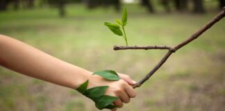 Allenarsi alla biodiversità con i 5 sensi