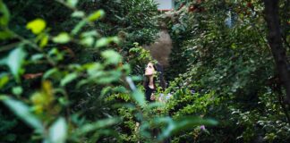 Cinquanta giardini per Interno Verde a Ferrara