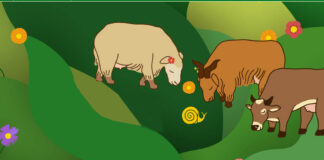 Cheese il sapore dei prati