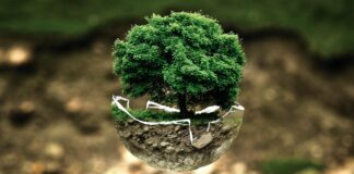 Camminare su un filo di seta, incontri al Politecnico