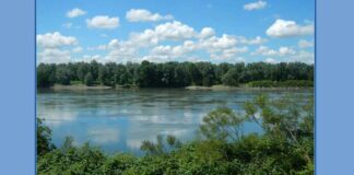 Un Po da vivere, la mostra