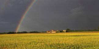 Concorso fotografico delle Terre Basse