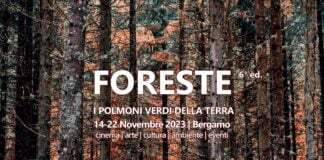 Bergamo, omaggio alle foreste