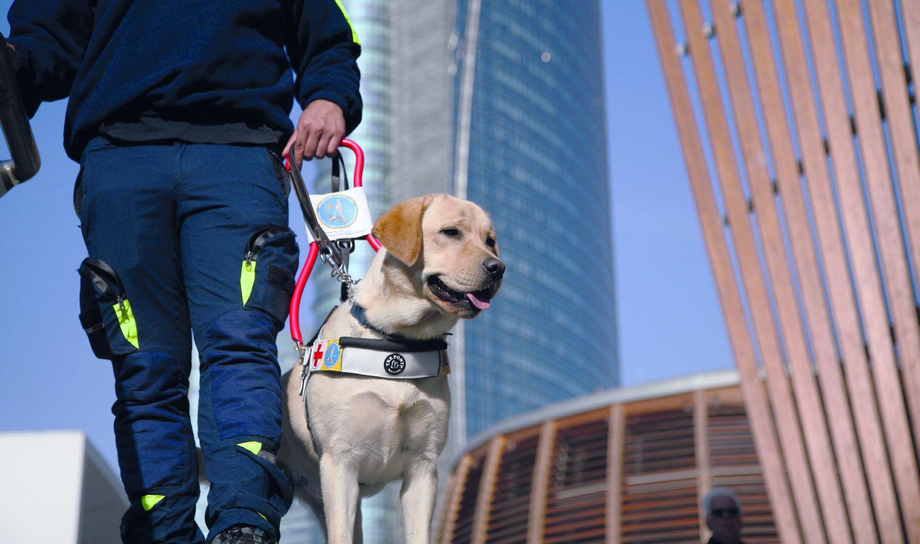 “Un cane guida sospeso” per Natale
