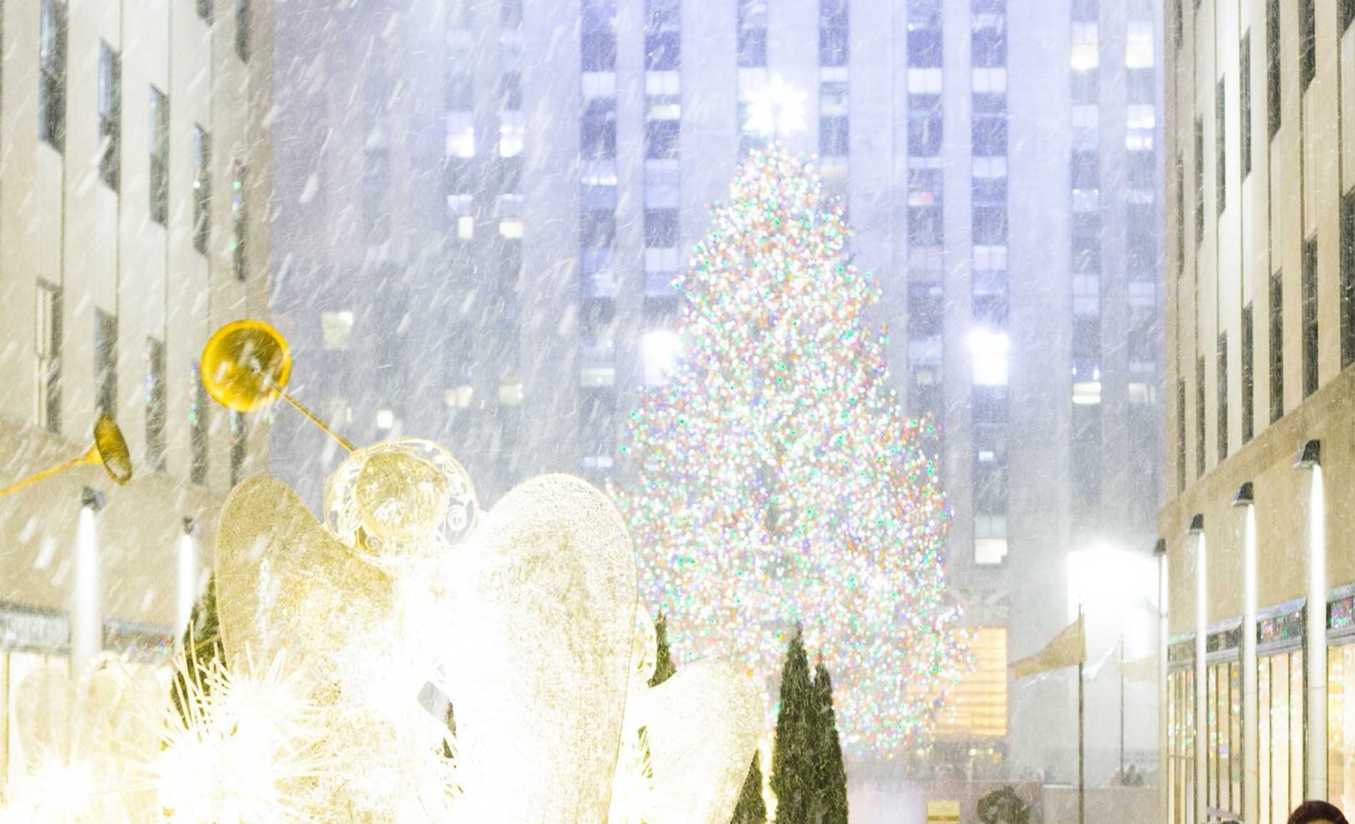 Gli alberi di Natale più belli del mondo