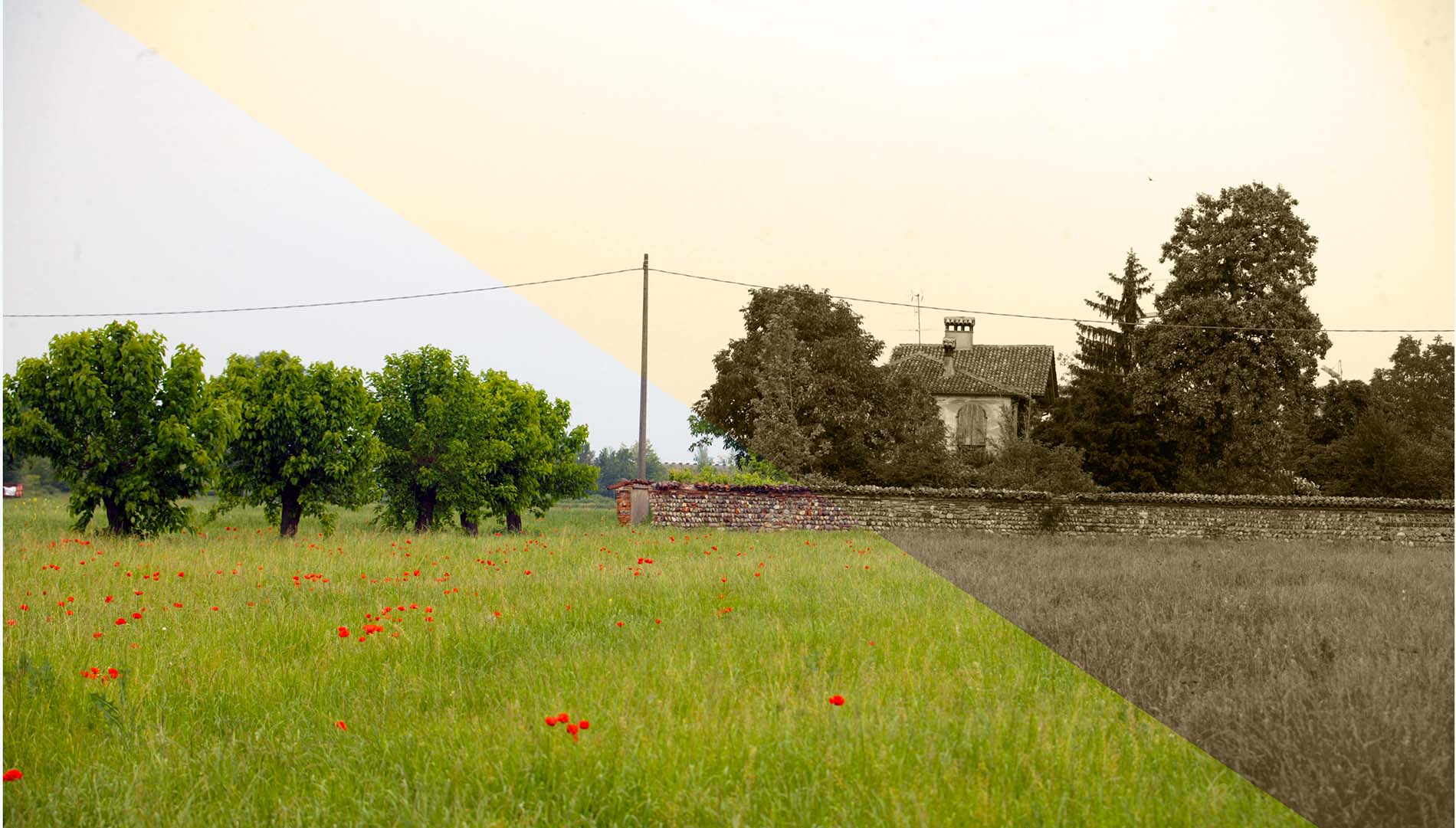 Me lo racconti? Storytelling per immagini