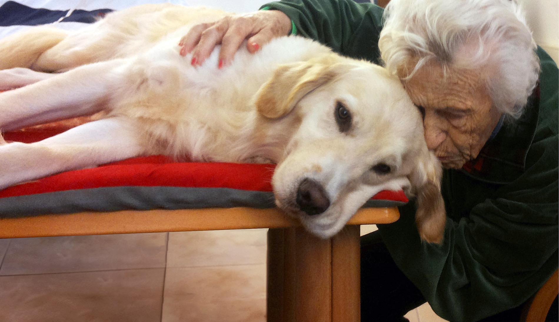 La pet therapy nelle residenze per anziani