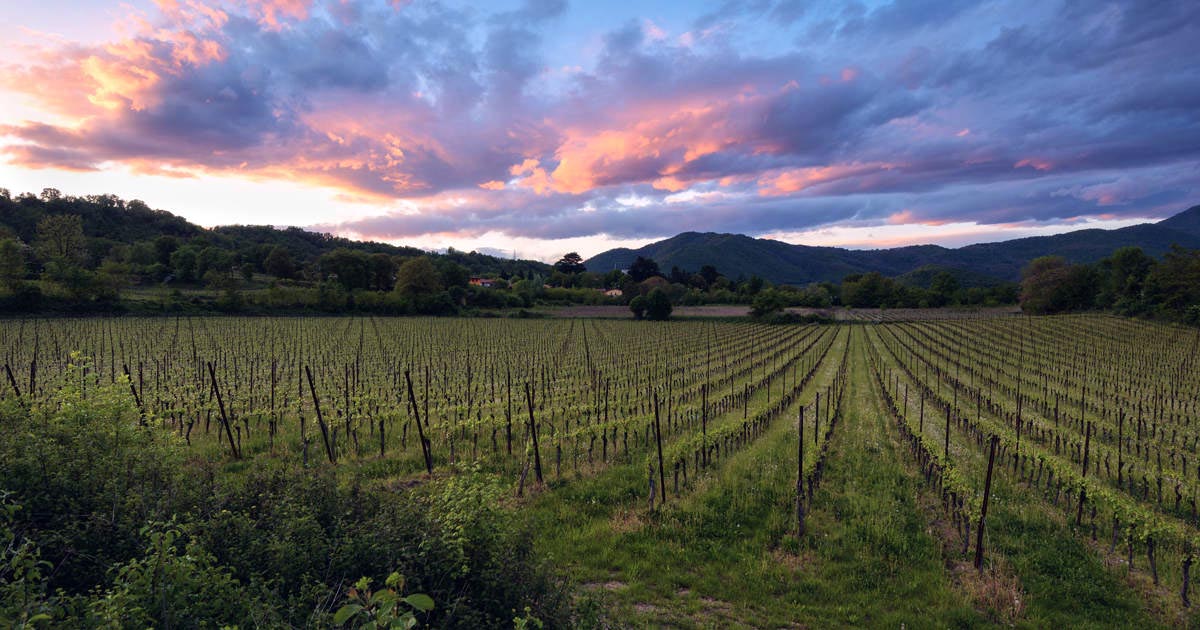 La Franciacorta in festival a Primavera
