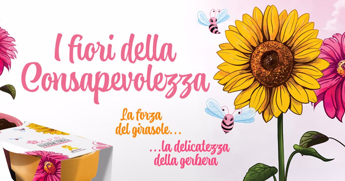 Gerbera e girasole, fiori dell’endometriosi