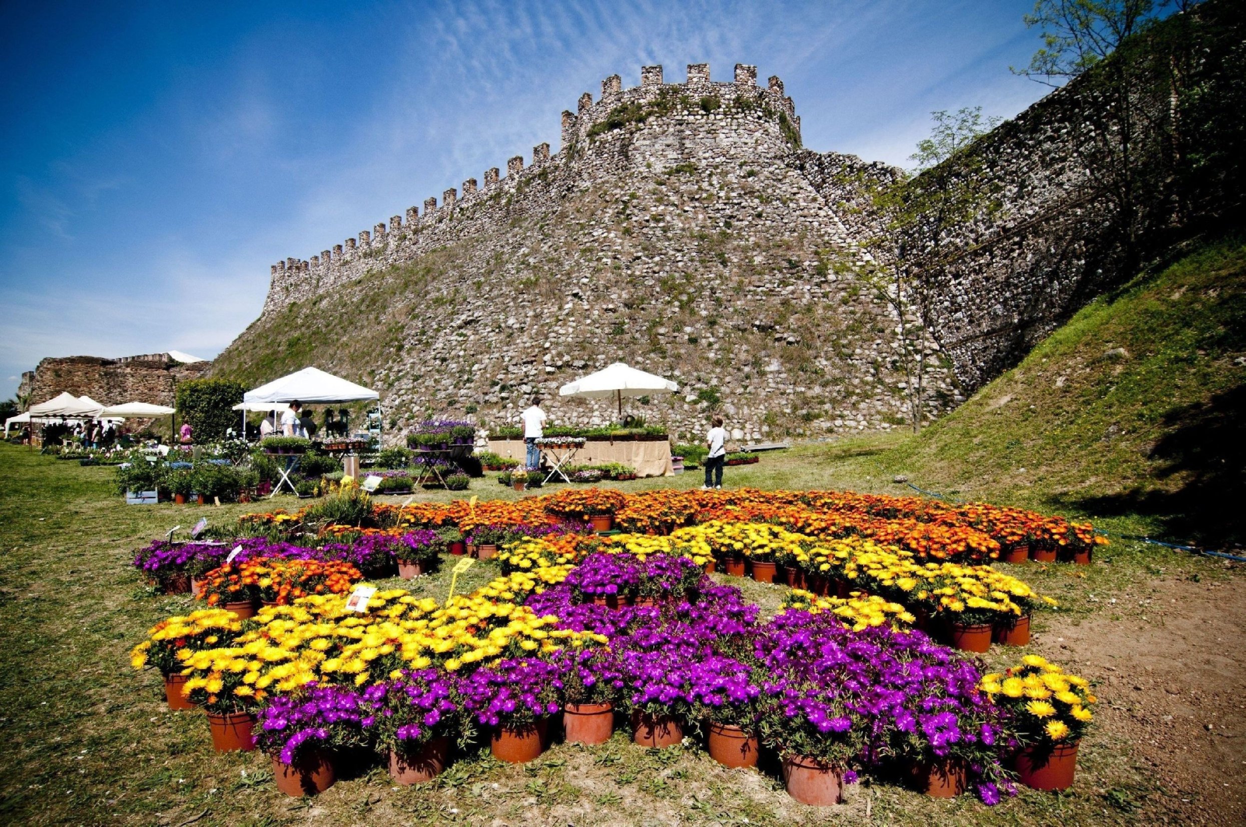 Fiori, fiori e ancora fiori nella Rocca di Lonato