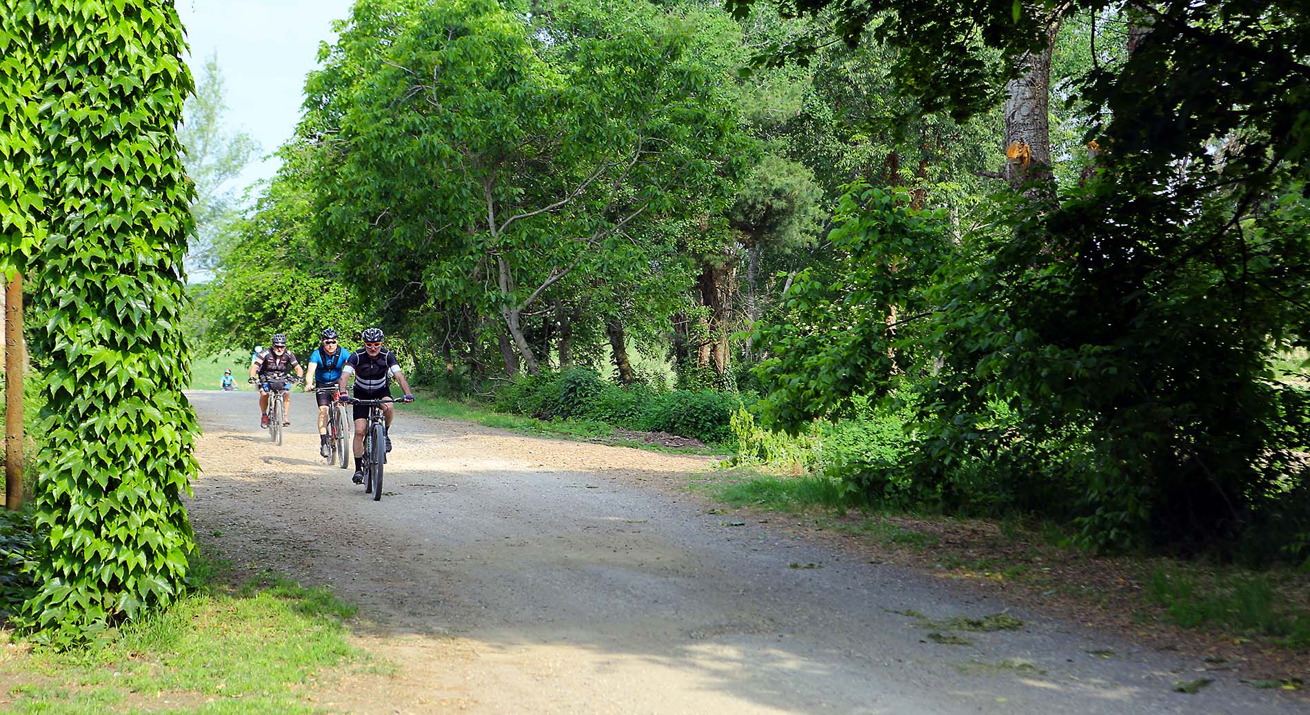 In bici nelle Strade Basse