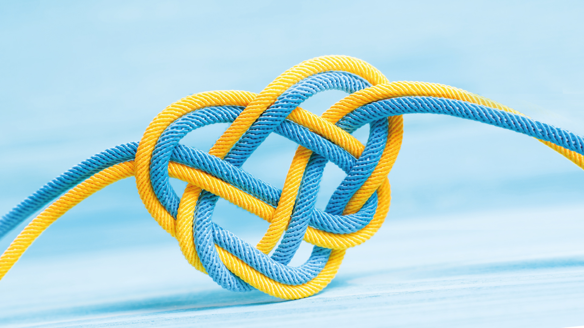 because: 21 associazioni per il crowdfunding