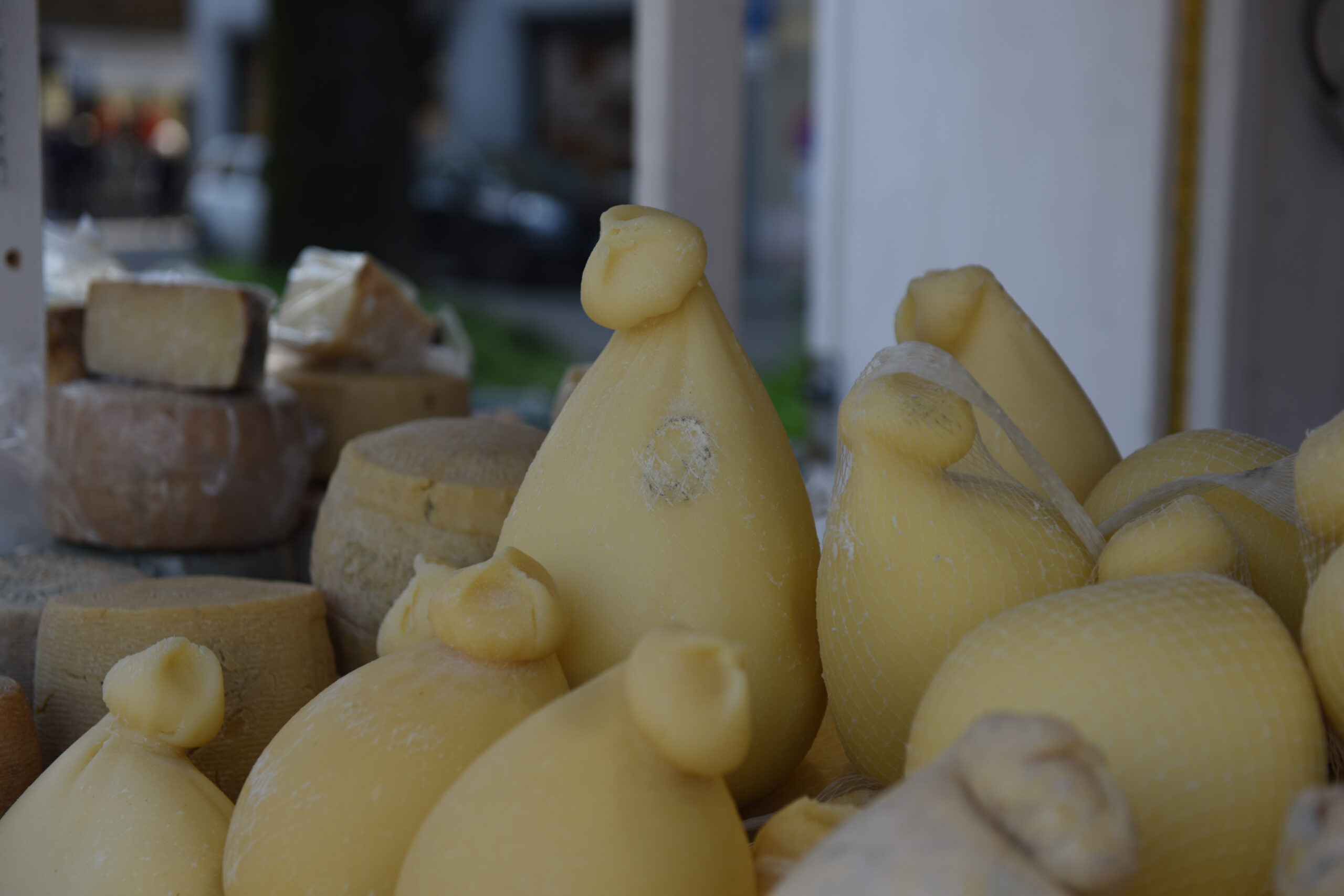 Formaggi e sorrisi: l’Italia del gusto a Cremona